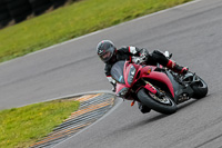 PJ-Motorsport-2019;anglesey-no-limits-trackday;anglesey-photographs;anglesey-trackday-photographs;enduro-digital-images;event-digital-images;eventdigitalimages;no-limits-trackdays;peter-wileman-photography;racing-digital-images;trac-mon;trackday-digital-images;trackday-photos;ty-croes